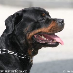 Meet your Posher, Terri